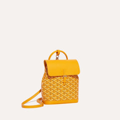 GOYARD Alpin Mini Backpack | 戈雅 背囊 (多色)
