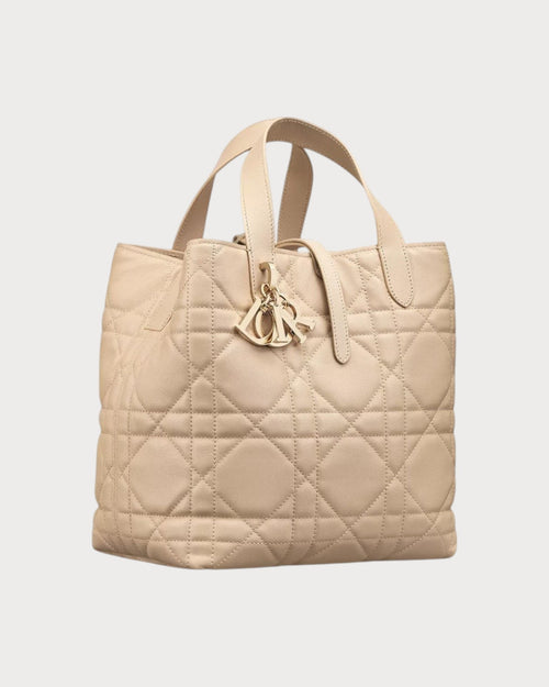 CHRISTIAN DIOR Dior Toujours Vertical Tote Bag Calfskin(Medium/2 Colors)