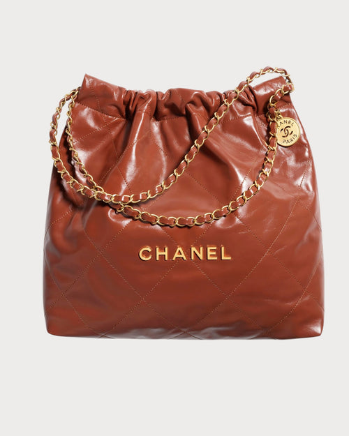 CHANEL AS3261 22 Medium Handbag | Chanel Handbag (Multi-color)